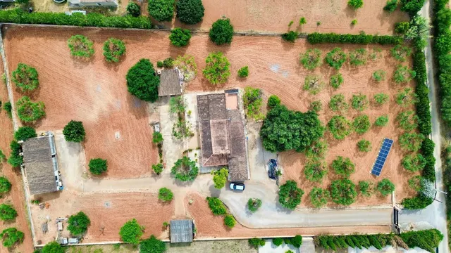 El placer de vivir en paz: acogedora finca rústica en Inca - foto 3