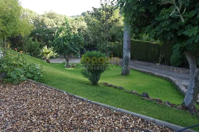 ESTUPENDA PARCELA CON DOS MAGNIFICAS CASAS EN SIETE FINCAS . - foto 4