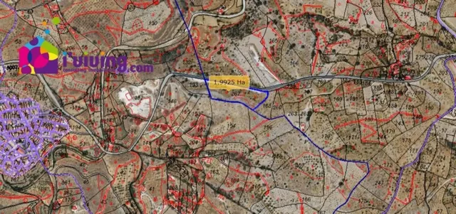 Parcela en Venta en Alcudia De Monteagud Almería - foto 2
