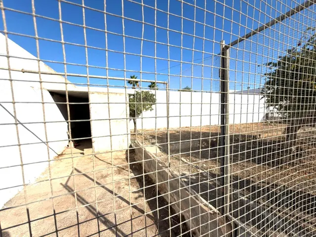 CASA DE PUEBLO CON GRAN PARCELA DE 636 m2, GARAJE Y MUCHAS POSIBILIDADES EN LAS NORIAS, EL EJIDO — 28