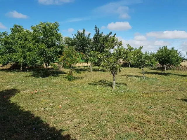 Urbis te ofrece una casa con terreno en venta en Aldehuela de Yeltes, Salamanca. — 7
