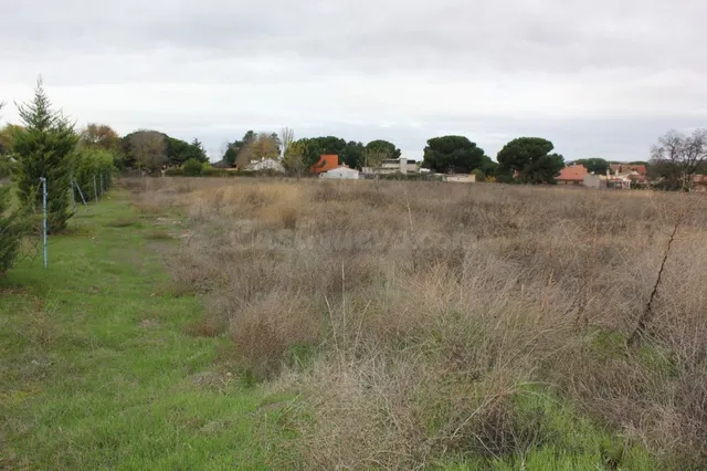 VENTA de TERRENO en Tudela de Duero