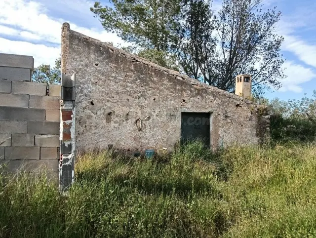 finca con casa y balsa — 2