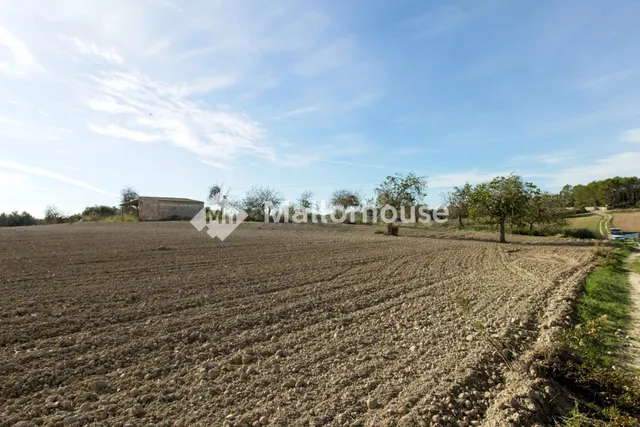 Terreno urbanizable en venta - Llubi - foto 3