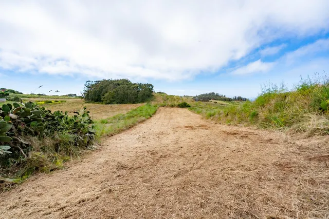 Terreno rústico de labradío de 1.430 m2 en Cercado Bello, Gu
