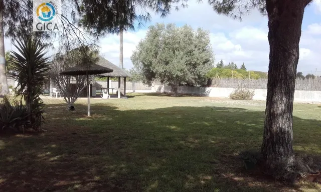Casa chalet rustica en la zona de Cartuja a 5 mn de jerez — 11
