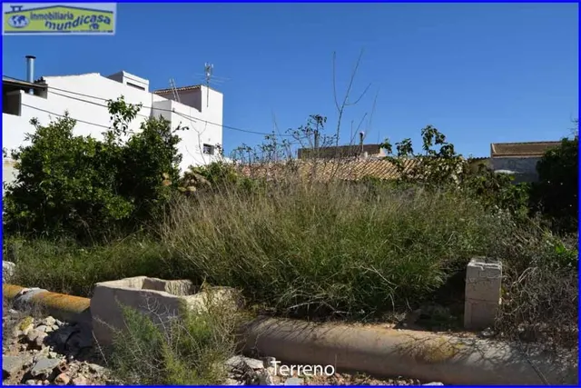 Casas a reformar en La Matanza de Orihuela — 23