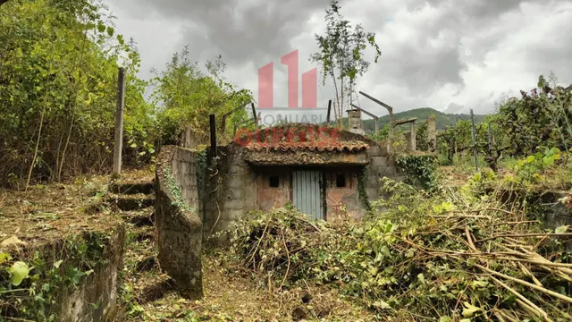FINCA RUSTICA CON VISTAS AL RÍO MUY CERCA DE RIBADAVIA. — 8