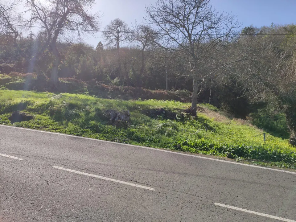 TERRENO EN LA OROTAVA, AGUAMANSA