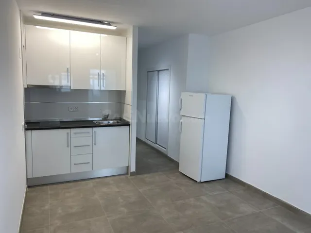LEER EL ANUNCIO!!!!! APARTAMENTO REFORMADO EN CALA MAYOR CON - foto 4
