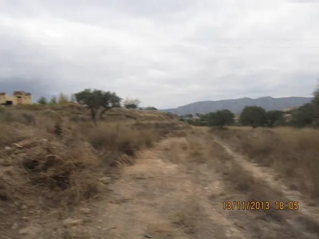 32000 metros en la zona del colegio cañis de monovar — 7