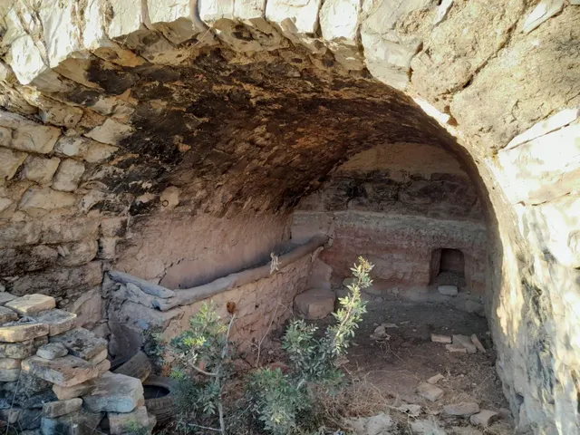 OCASION GRAN  FINCA EN PRODUCCION DE 8,4 HAS. EN CORBERA D´EBRE — 2