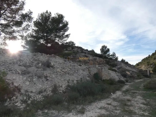 Parcela de 10.041m2 en Monovar - Collado Victoriano — 12