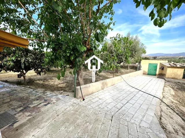 Casa adosada independiente en venta en el Rebolledo, elche. 3000m2 de parcela y 120 m2 de vivienda — 45