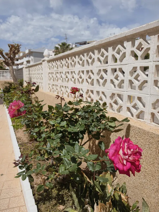 Apartamento reformado con piscina comunitaria, Alicante, Torrevieja. 3 habitaciones | 60 m2 | A 300 metros del mar — 25