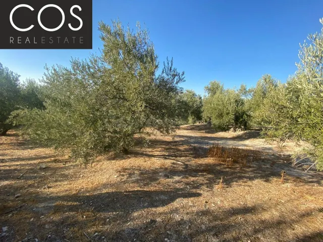 Parcela 40m² en venta - Urbanizacion azahar — 3