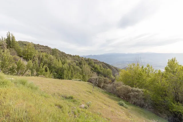 Cortijo Sierra Nigüelas — 42