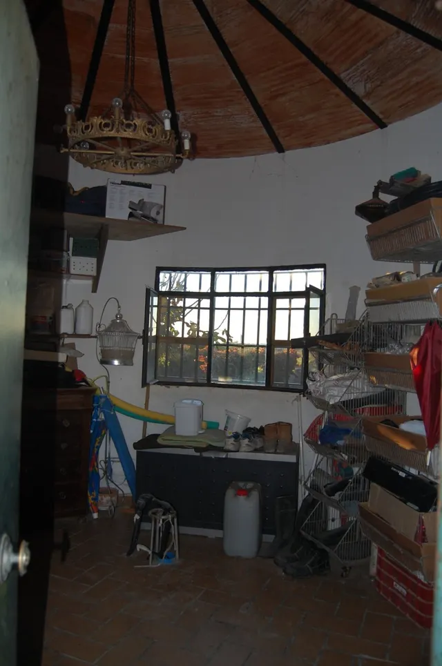 FINCA DE VIÑEDOS — 11
