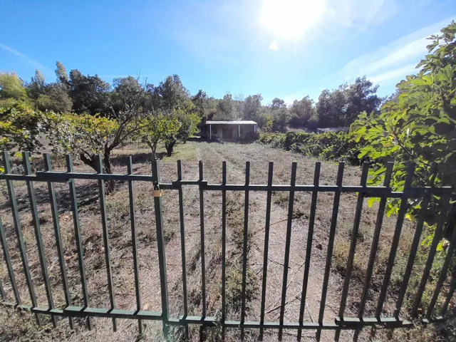 FINCA RUSTICA CON CASA DE APEROS EN CASTROPODAME — 23
