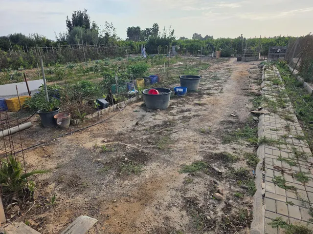 Espectacular finca rústica con proyecto de construcción y licencia en Los Montesinos — 29