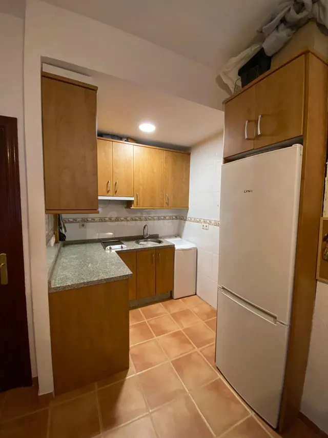 ALQUILER LUJO APARTAMENTO EN TRINFO JARDIN CON PISCINA - foto 5