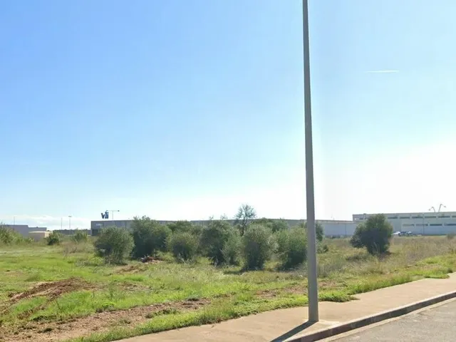 TERRENO INDUSTRIAL AL POLIGON ORIOLA 12.753 m2 AMPOSTA - foto 3