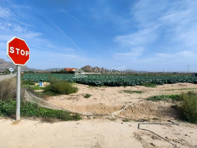 SE VENDE TERRENO RURAL EN MONFORTE DEL CID EN EL CAMINO SAN VICENTE — 6