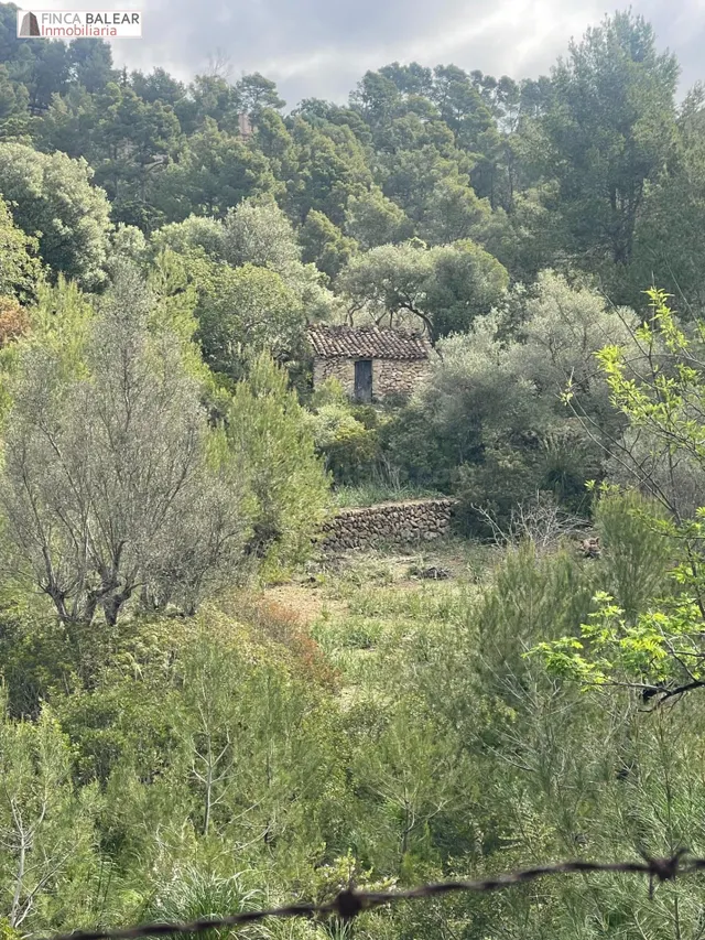 TERRENO RUSTICO EN GALILEA CON CASITA DE APEROS DE 20 M2 POR