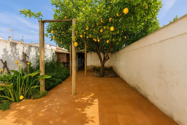 Planta baja con carácter y patio en Es Rafal Vell – ¡Lista p - foto 2