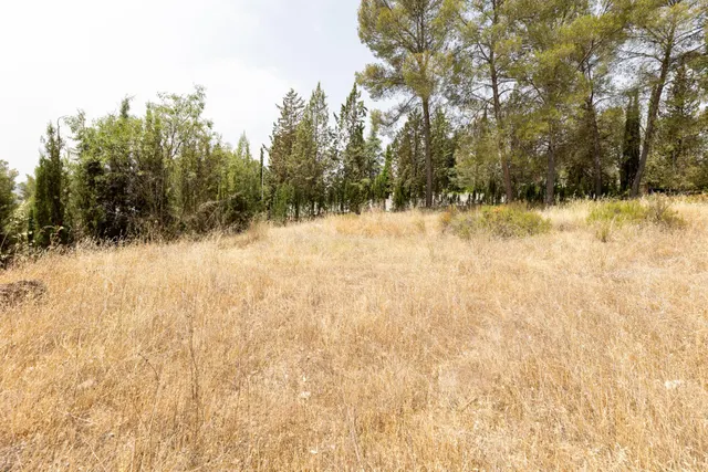 EXCLUSIVO TERRENO EN VENTA EN ALBOLOTE — 18
