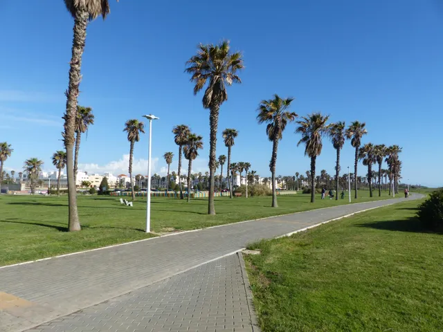 PISO EN COSTA BALLENA CON PISCINA, PADEL, GARAJE Y TRASTERO — 33