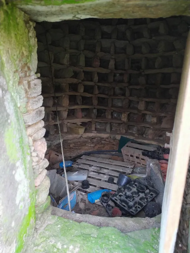 SE VENDE CASONA SINGULAR CON TERRENO DE 22.000 MTS EN OZA — 38