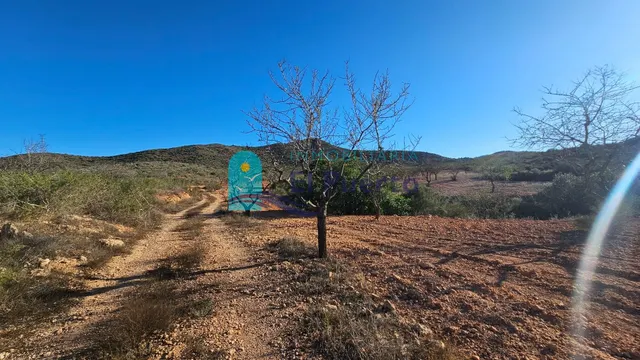 GRAN TERRENO JUNTO A LOS ALTOS DE LAS PALAS – REF. 2112 — 6