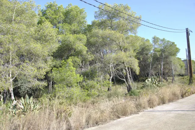 Parcela Rústica en el municipio de Cubelles, 5.560 mts2 Corral d'en Cona — 8