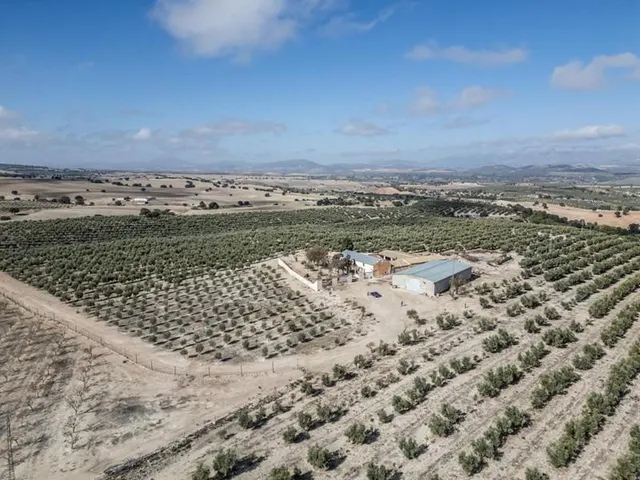 IMPRESIONANTE OPORTUNIDAD DE INVERSIÓN EN ALAMEDILLA!! — 6