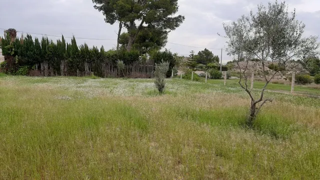 PARCELA RUSTICA EN EL REBOLLEDO — 3