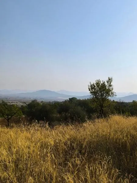Adosado 300m² en venta - Comunidad valenciana — 24