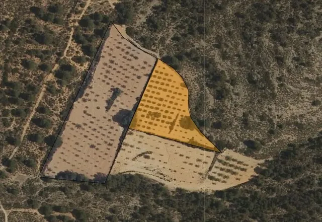 Parcela en venta - Ayuntamiento — 11