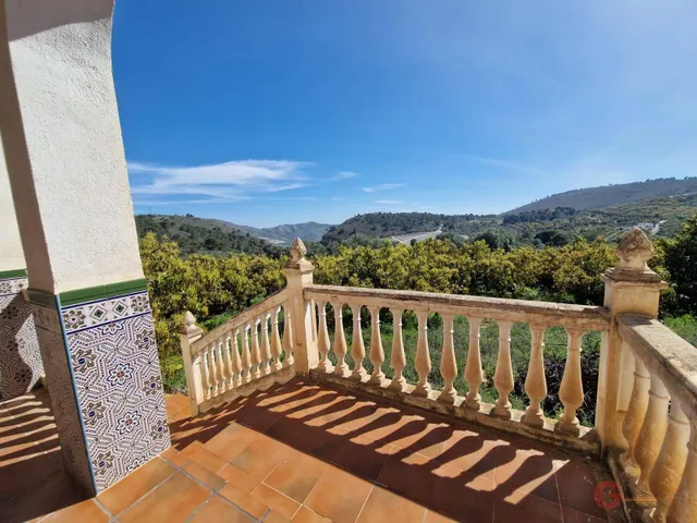 Finca rústica con cortijo y gran porche en Pago Los Palmares, Salobreña – 11.500 m2 de regadío en producción de aguacates — 4