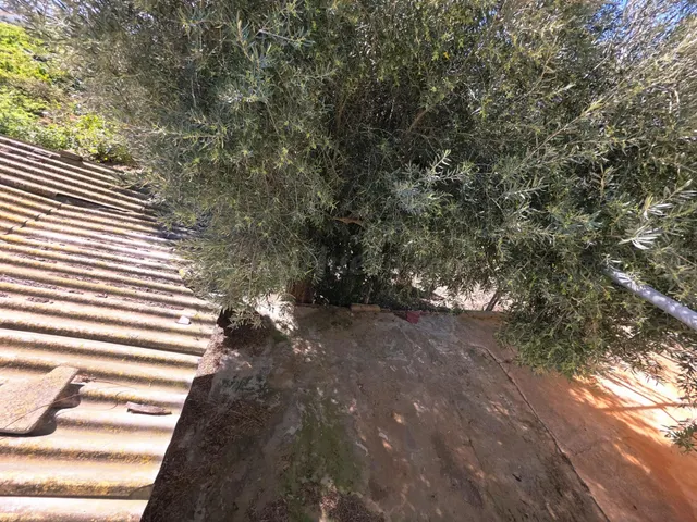 Casa con terreno 4 habitaciones 246m² en venta - Desamparado - foto 4