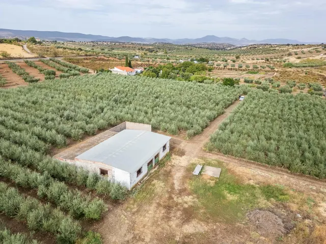 ESPECTACULAR FINCA DE 2,2 HECTÁREAS: PRIVACIDAD, NATURALEZA Y UBICACIÓN ESTRATÉGICA EN LOS SANTOS DE MAIMONA (BADAJOZ) — 6