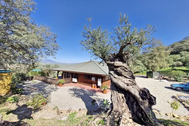 Finca Agrícola 3 habitaciones 163m² en venta - South of spain — 33