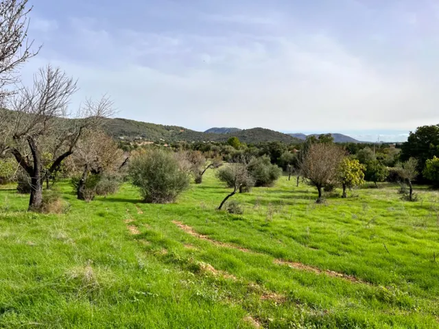 Finca rústica Campanet — 2