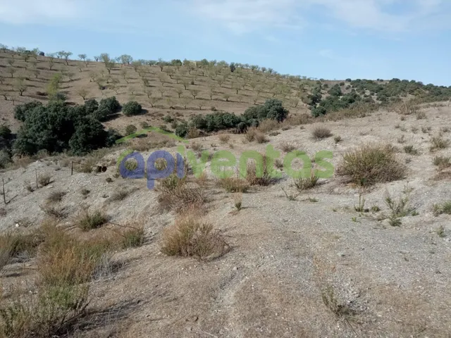 11Hectareas de terreno , vivienda y agua - foto 5
