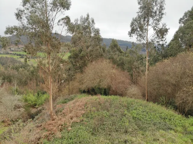Finca Urbana en OzaCesuras — 18