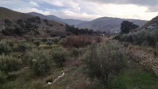 Casa de campo con terreno en Purchena ( Almería ) — 30