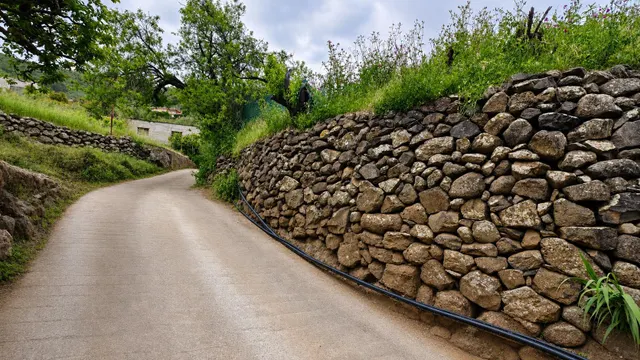 Terreno rural en venta - La yedra gran canaria — 18