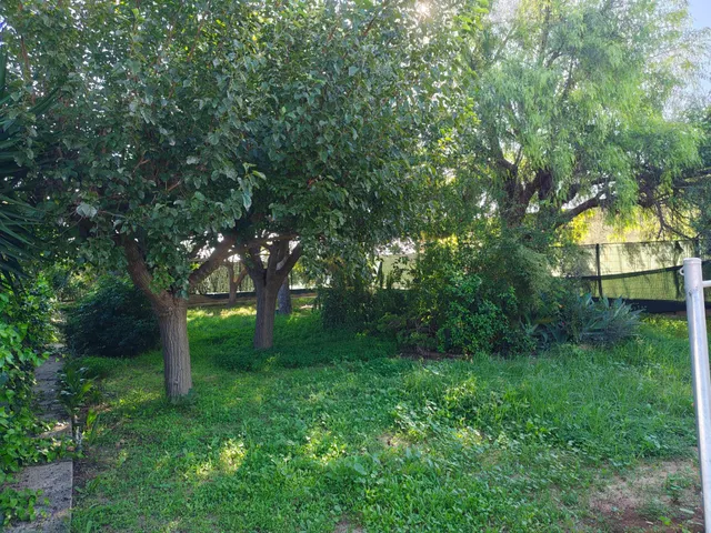 Finca Rústica con Chalet y Piscina en La Palma, Cartagena — 44