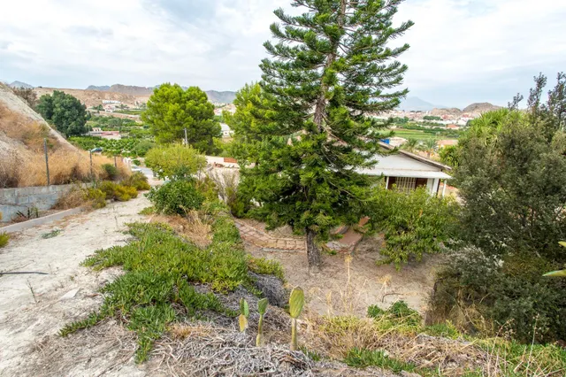 Casa rustica en Archena con vistas despejadas en parcela de mas de 1200m2 — 48