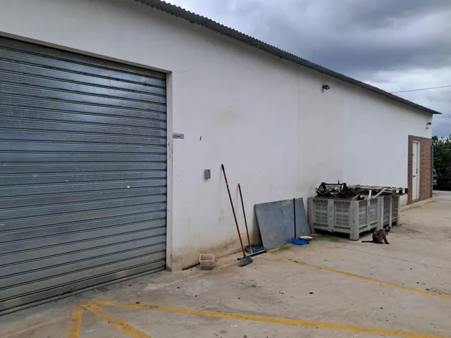 FINCA CON 3 APARTAMENTOS, NAVE Y 2.325 M2 DE PARCELA EN EL RAAL — 9